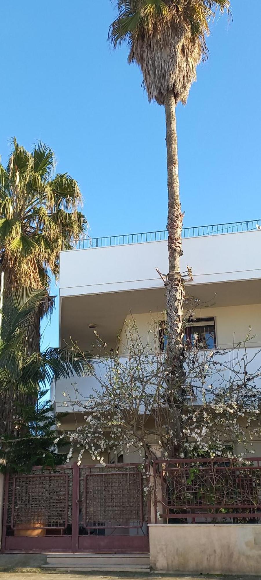 La Palma Residence For Smart Working Torre San Giovanni Extérieur photo