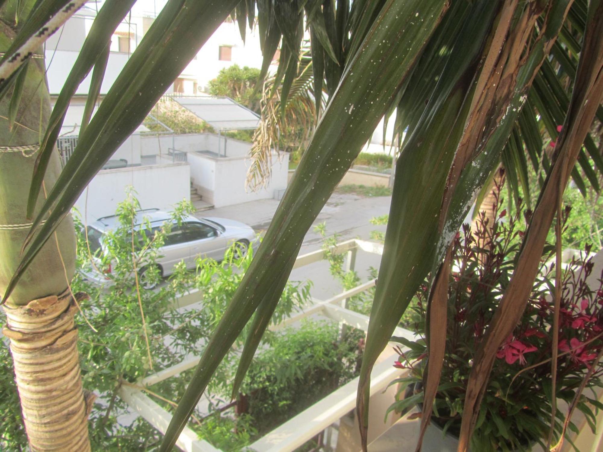 La Palma Residence For Smart Working Torre San Giovanni Extérieur photo
